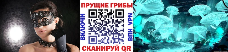 Галлюциногенные грибы ЛСД  Славянск-на-Кубани 