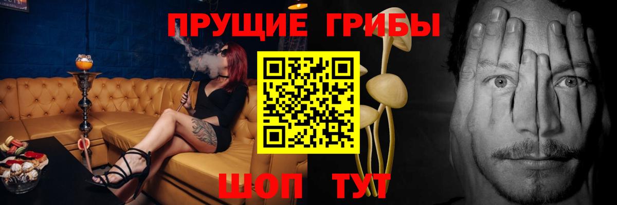 Псилоцибиновые грибы GOLDEN TEACHER  где продают наркотики  Псилоцибиновые грибы Psilocybine cubensis  Славянск-на-Кубани  Вход с VPN 